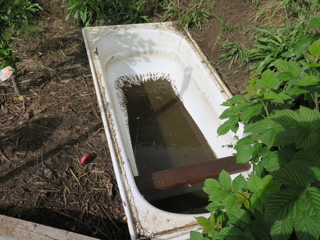 what to do with duck pond water Archives Good Life Permaculture