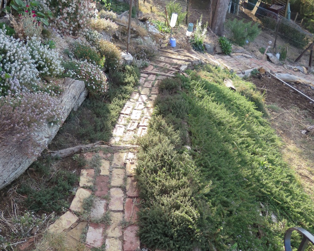 Stabilising Slopes With Pallets Good Life Permaculture