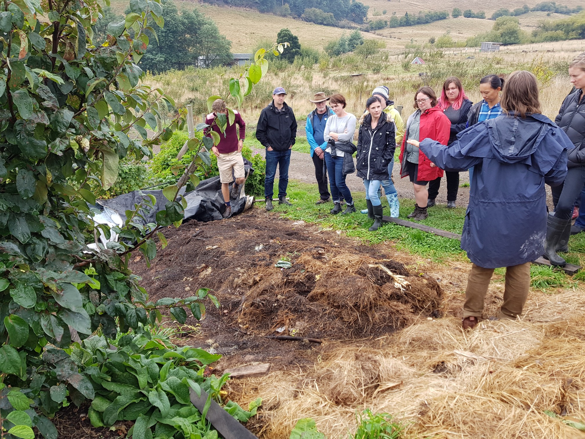 DIY Worm Farms for Tiny, Medium & Large Gardens Good Life Permaculture