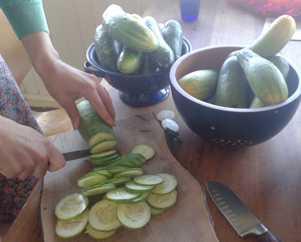 cucumbers