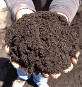 hands-of-compost