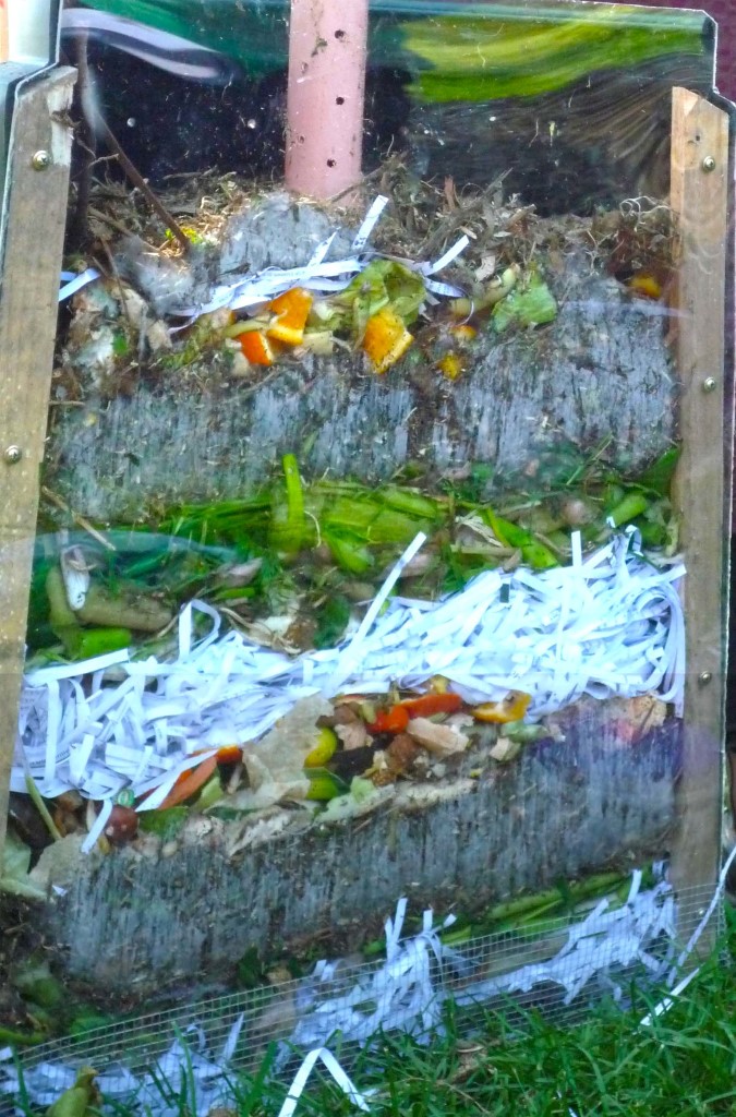 compost profile 1
