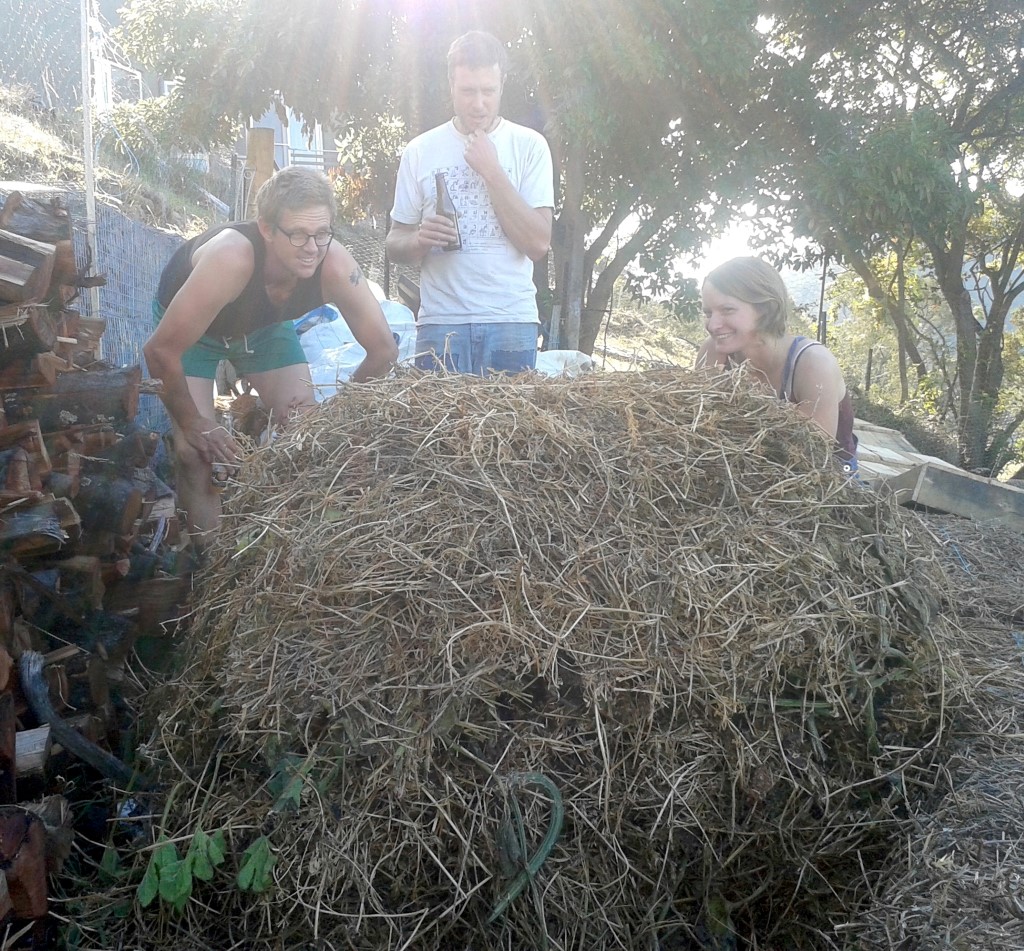 Compost appreciation