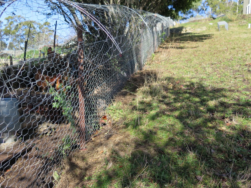 possum proof fence Archives Good Life Permaculture