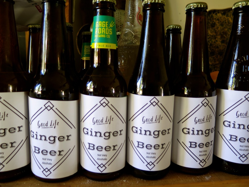 Ginger Beer Recipe Homebrew Non Alcoholic Deporecipe.co