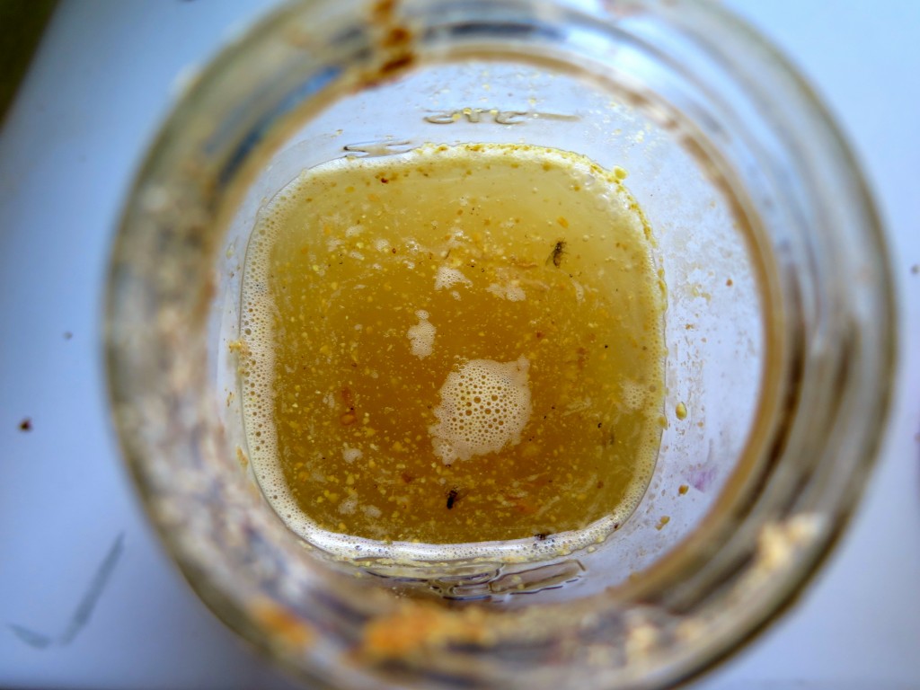 Homemade NonAlcoholic Ginger Beer Good Life Permaculture