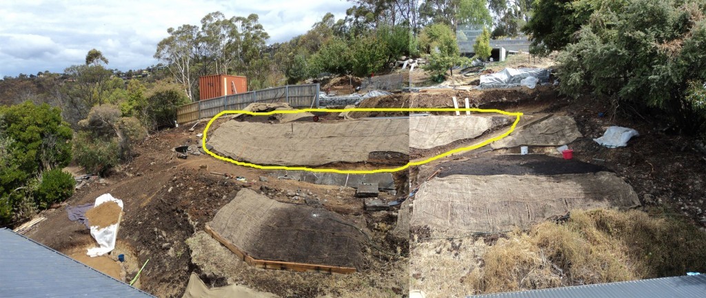 Forest-garden-bank-1024x432