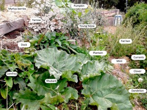 EFG-with-labels-1024x768