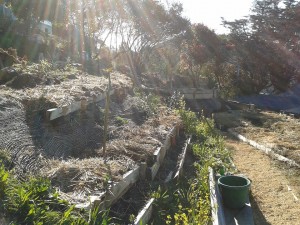 558615_639447366089512_23328198_n