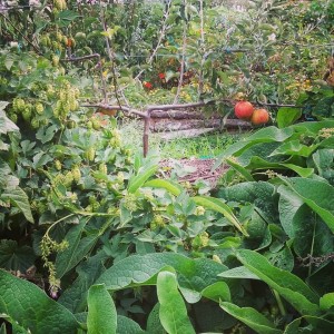 12806214_1122765354424375_1562489664431605907_n