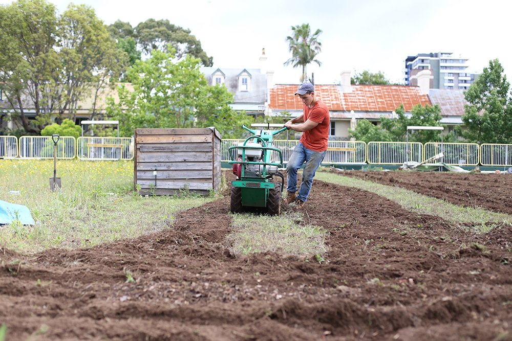 Pocket City Farms Good Life Permaculture