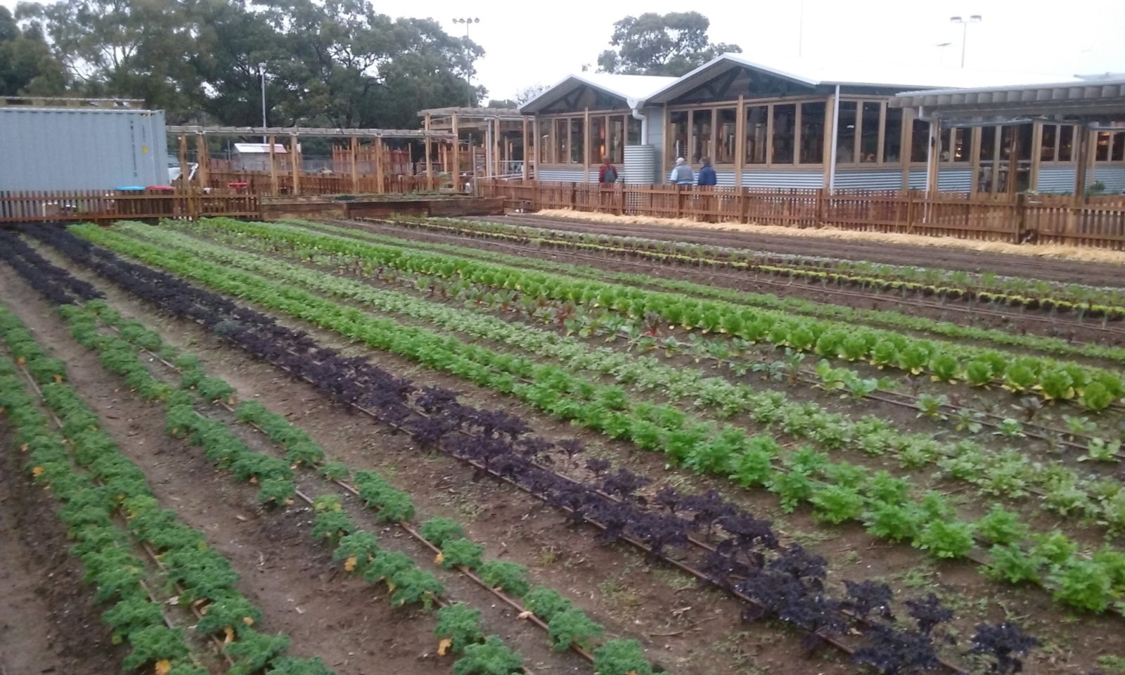 Pocket City Farms Good Life Permaculture