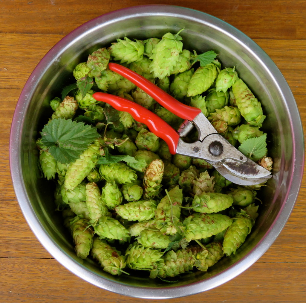 Brewing Beer From Scratch Good Life Permaculture