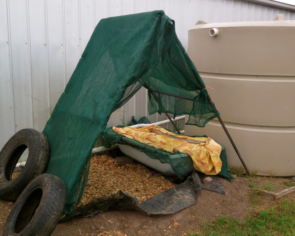 IMG_7602 Good Life Permaculture