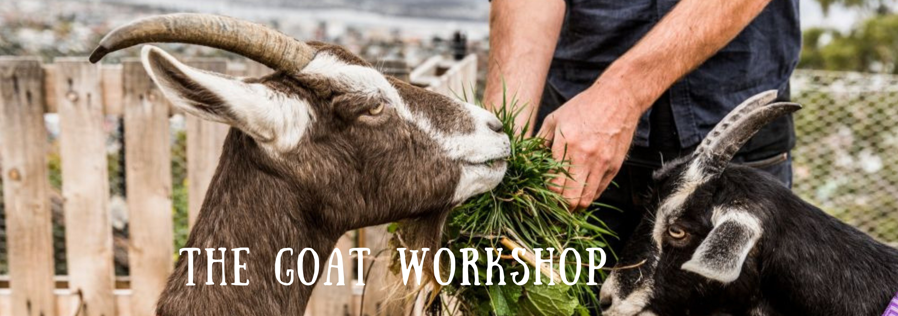 The Goat Workshop