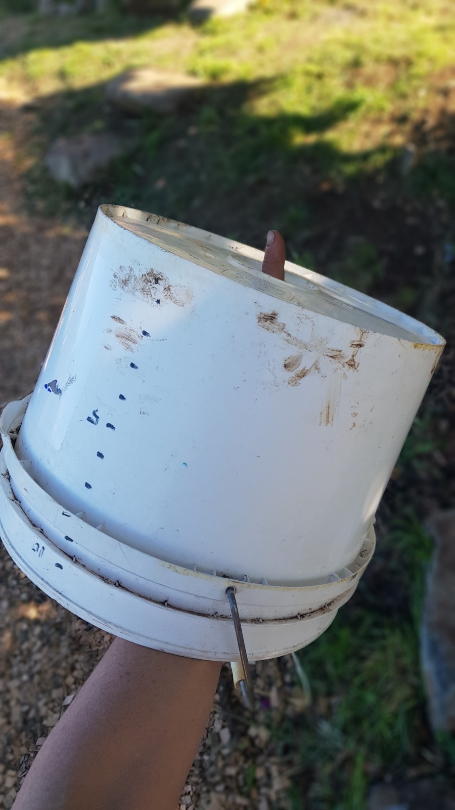 20190926_150701 Good Life Permaculture