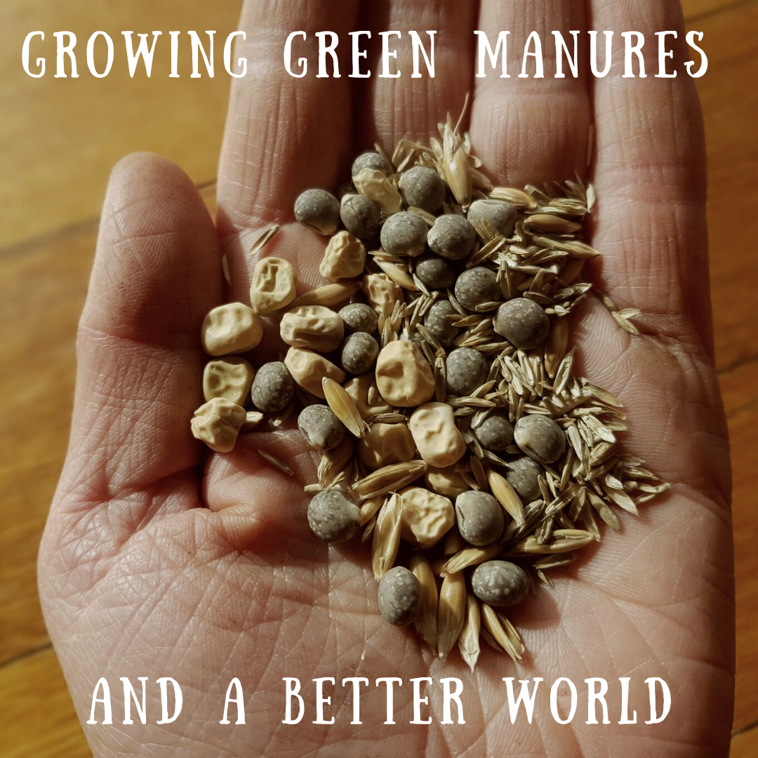 How To Grow Green Manures & A Better World For All Good Life Permaculture