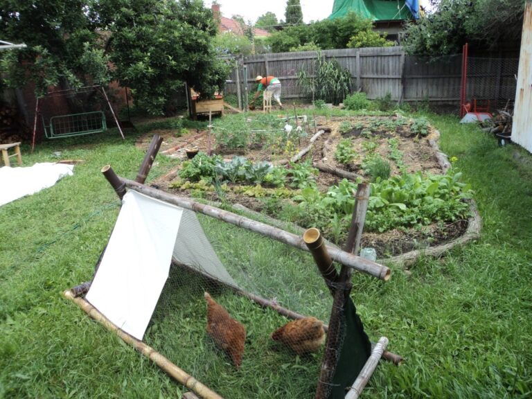 Blog Good Life Permaculture